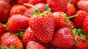Fraise Belge 500 GR - bq